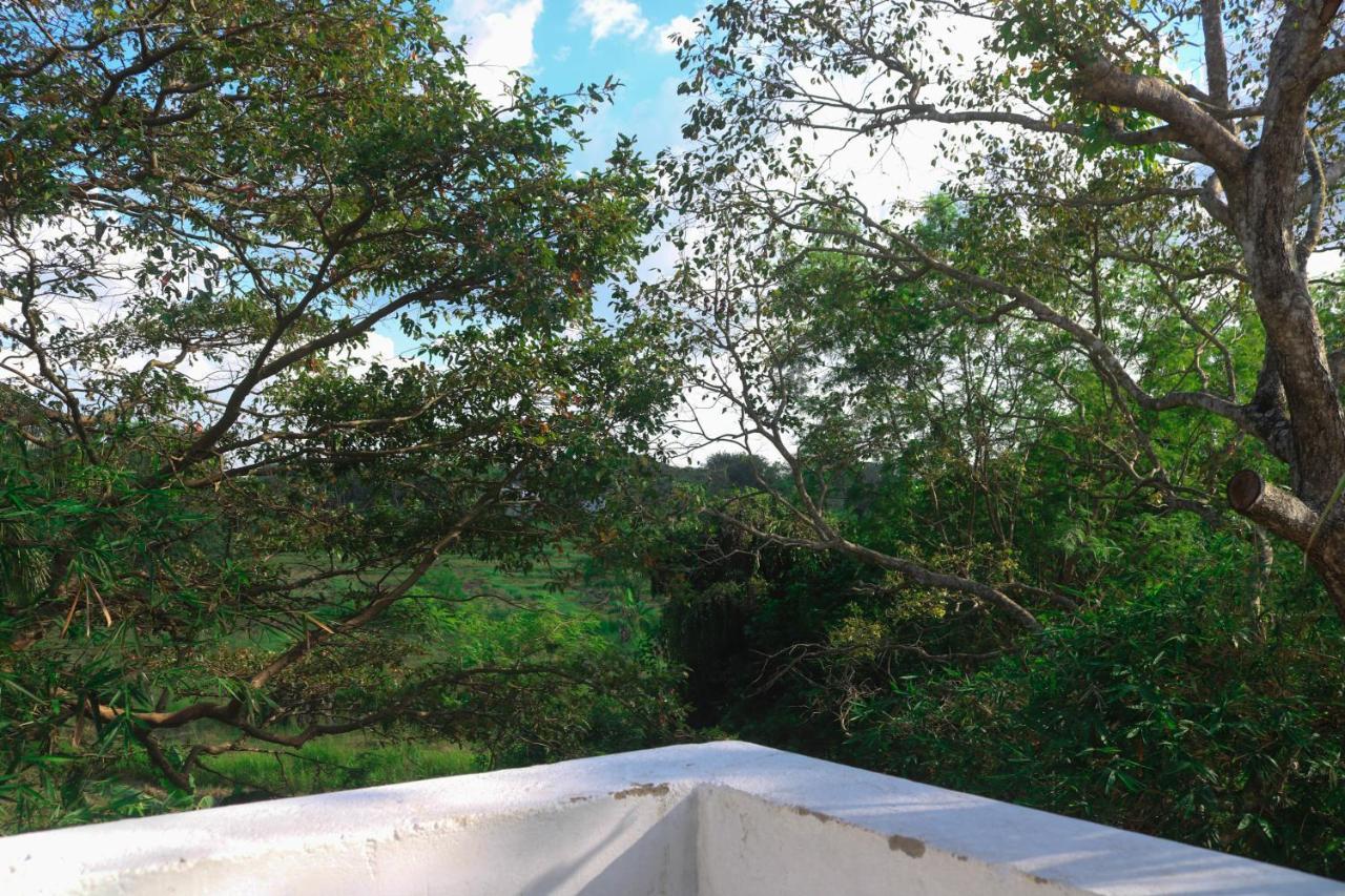 Divine Villa Anuradhapura Luaran gambar